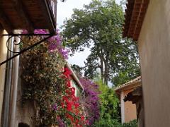 183 D25 BORMES LES MIMOSAS 3_000005